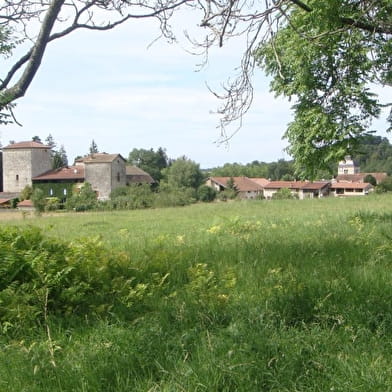 Randonnée - Belvédère du Mont de Grillerin