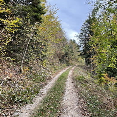 Randonnée - Le Belvédère de Sérémond