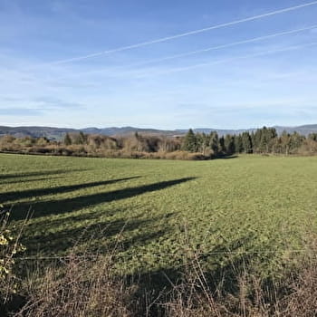 Randonnée - Le tour de la Grande Montagne - LE POIZAT-LALLEYRIAT