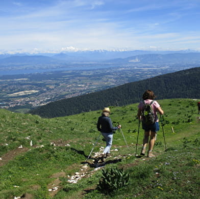 Randonnée pédestre : La Faucille - Les deux Montronds
