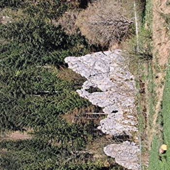 Le Franco-Suisse - n°10 - PONTARLIER