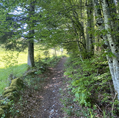 Randonnée - Les Roches d'Orvaz
