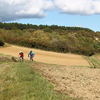 Circuit VTT n° 3 Vert de Varzy - VARZY