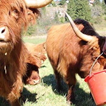 Ferme du Mont d'Or - LONGEVILLES-MONT-D'OR