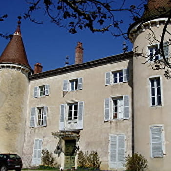 Roche des Faulx - Château de Rosy - NIVIGNE ET SURAN
