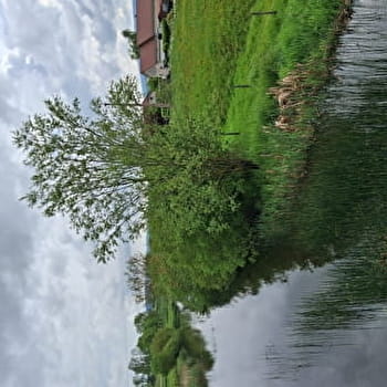 La Côte du Fol - n°106 - DOMMARTIN