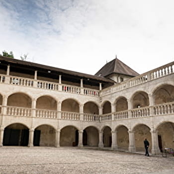 Randonnée VAE : Tour du Château de Clermont - SEYSSEL