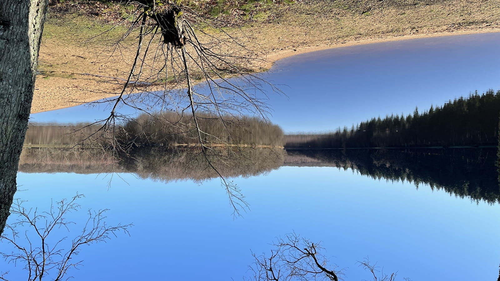 Tour de l'étang du Merle