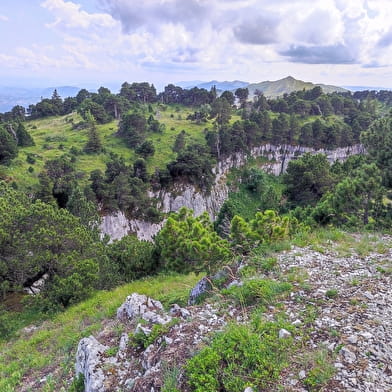 Randonnée pédestre : Catheline - Crêt de la Neige par Brulat Frésy