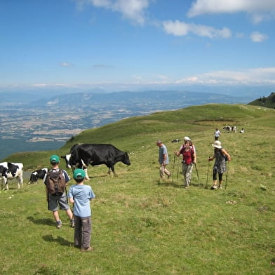 Le crêt de la goutte - Menthières