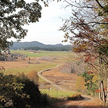 Le Sentier des Pèlerins - NANCHEZ
