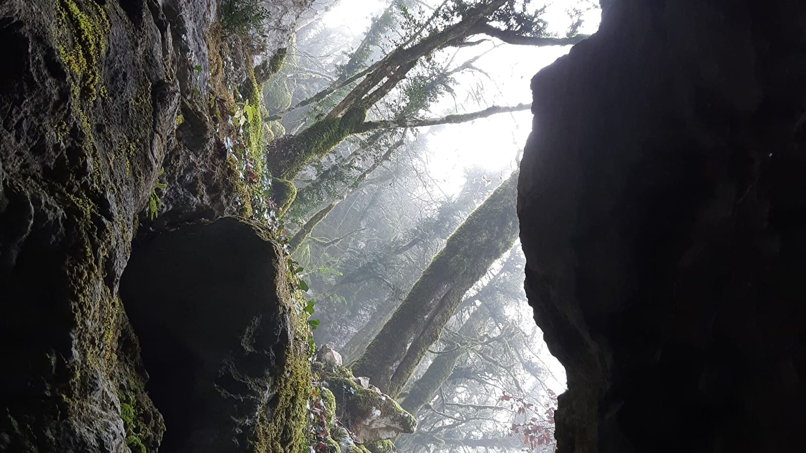 Mont Nivigne - Crête du Lomont