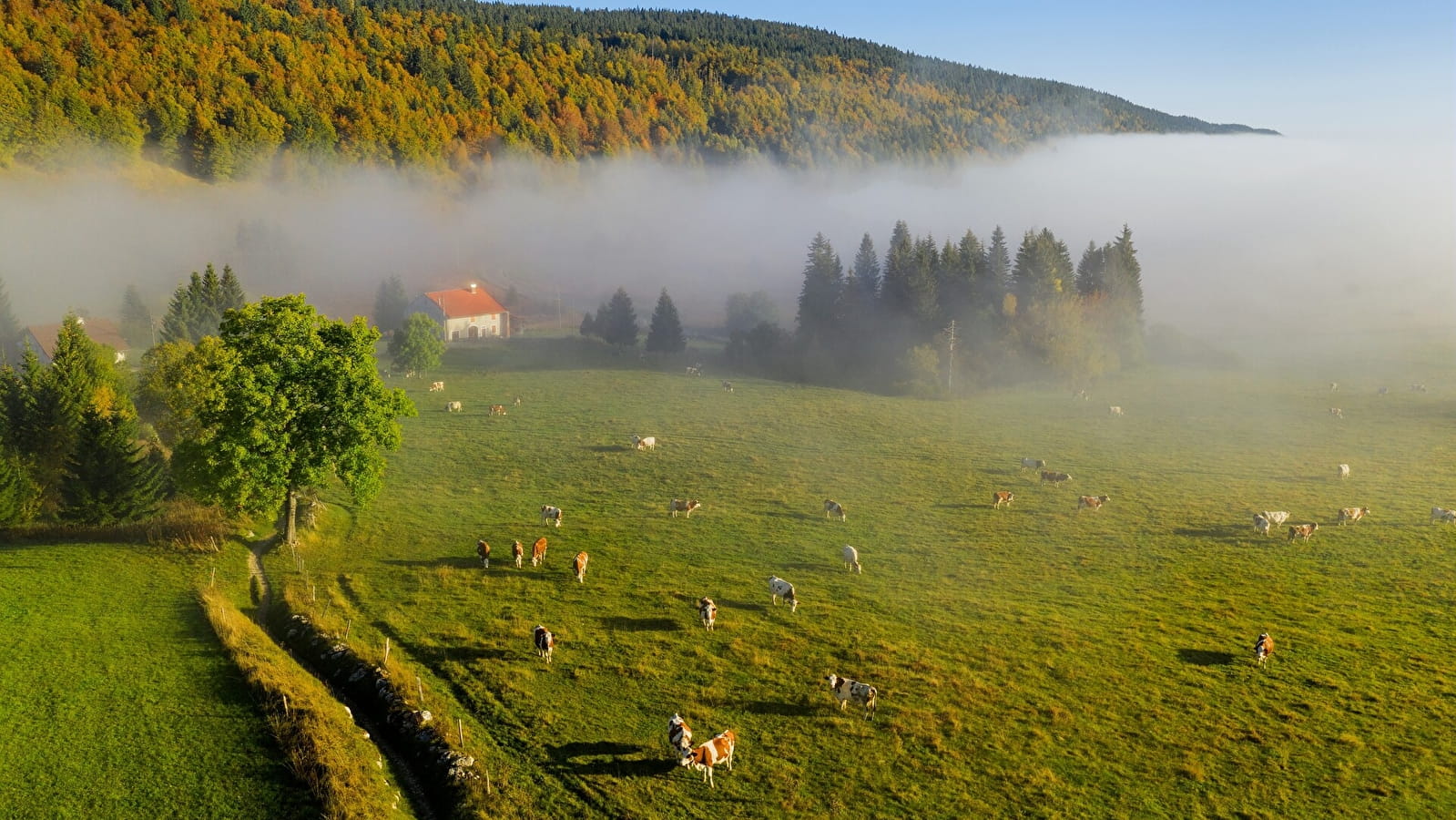 Tour du Gros Crêtet - 30B