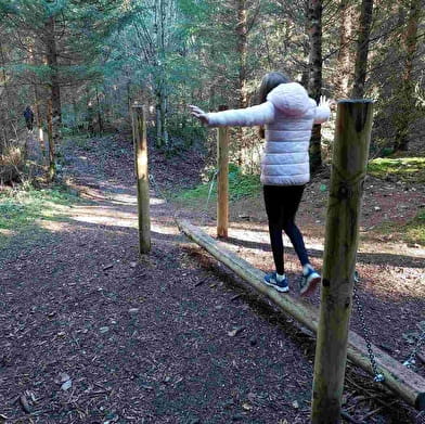 Sport & bien-être en forêt, parcours sportif