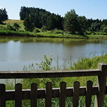 Balade - Le marais des Lèches - CEIGNES