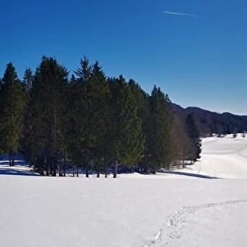 Itinéraire Raquettes du site de Lachat 'Le Nerbier' - HAUT VALROMEY