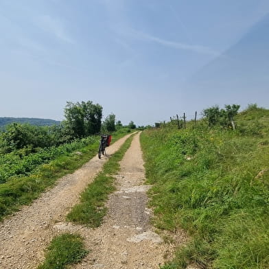 Circuit VTTAE n°9 et 10 Mont Myon - Plateau de Vergongeat