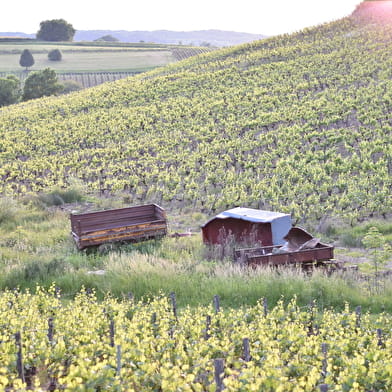 Domaine Fumey Chatelain