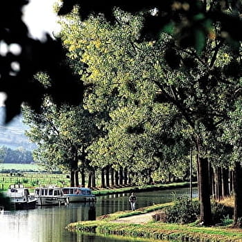 Combe de l'étang - BUFFON