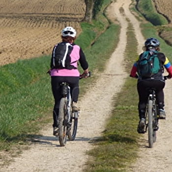 Circuit VTT-VTC n°3 (bleu) - L'arboretum d'Etrez - MONTREVEL-EN-BRESSE