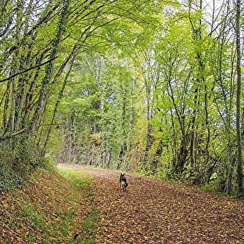  Le Bois Planté - VILLIERS-SAINT-BENOIT