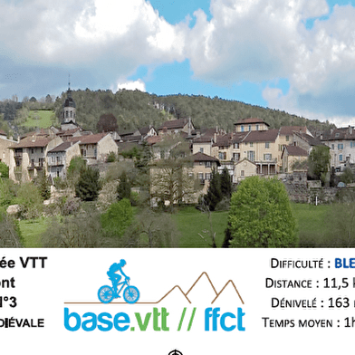 Circuit VTT n°3 (bleu) - Treffort, la médiévale