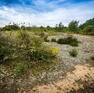 Liaison VTT-VTC (L7) St Trivier de Courtes - Dunes de la Charme (Sermoyer)
