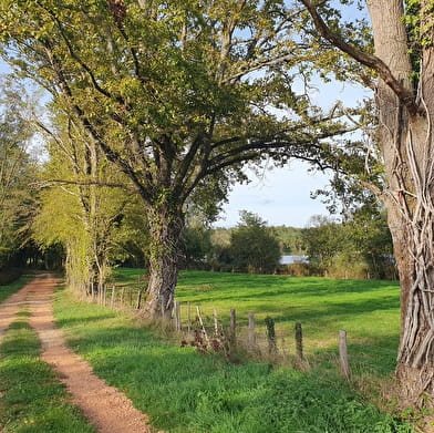 Circuit Randonnée : En prairie