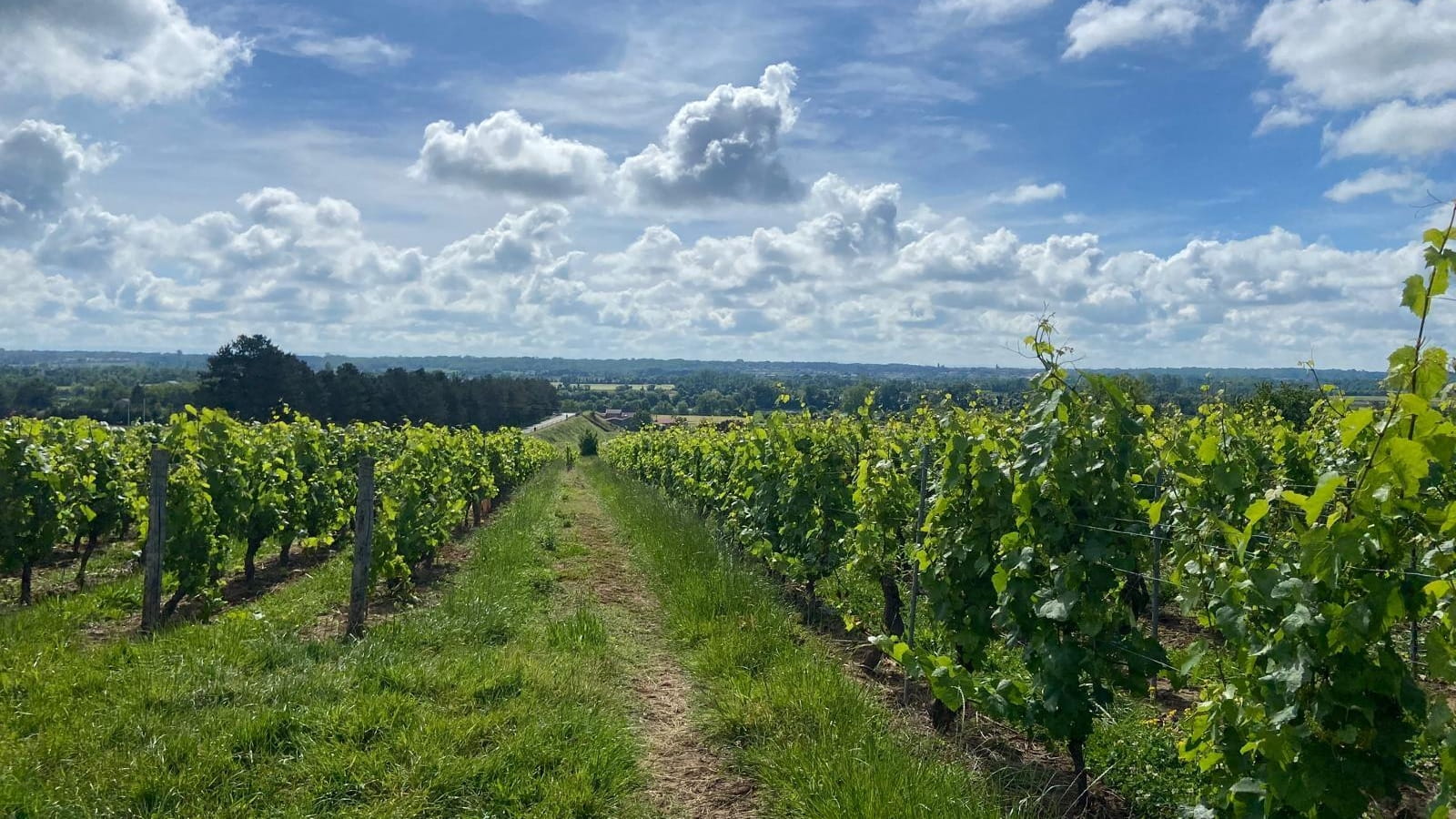 Au coeur historique de Saint-Martin-Belle-Roche