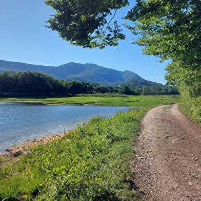Parcours VTT 5 rouge - Le lac d'Armaille - Espace FFC Ain Forestière