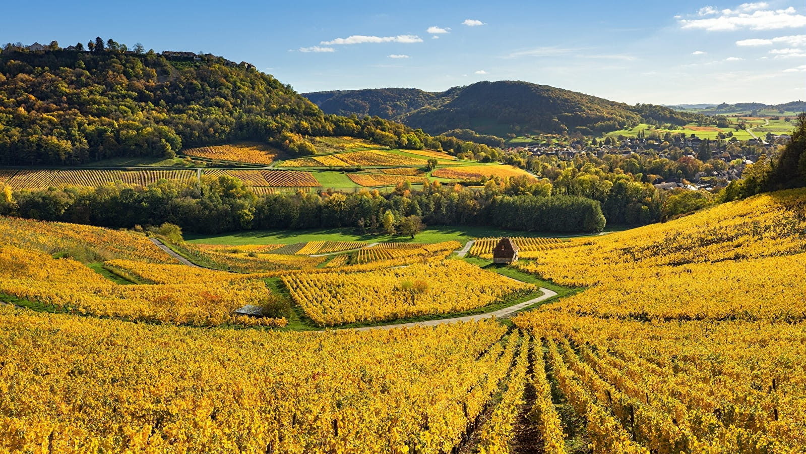 Le Vignoble du Château-Chalon