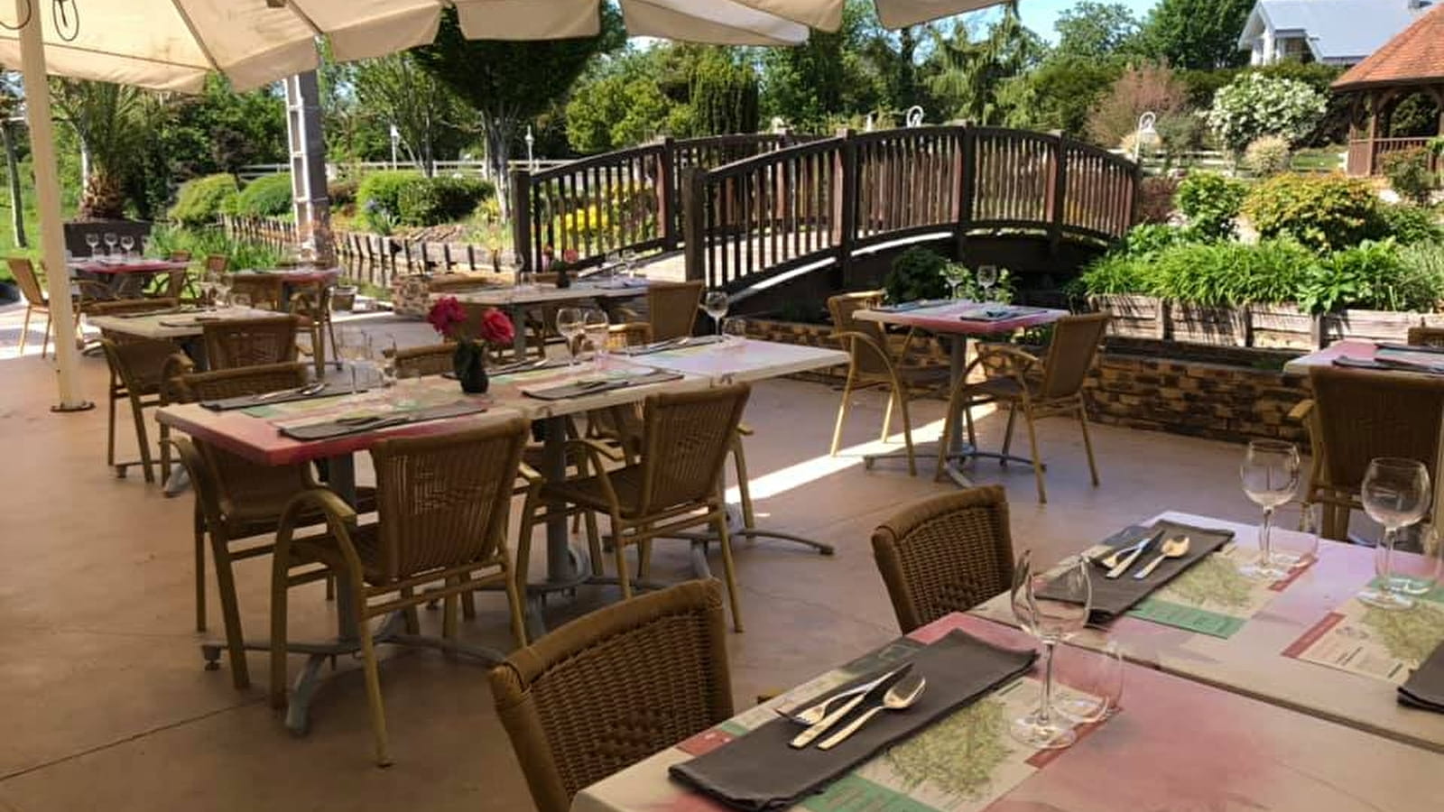 Les meilleures grenouilles 