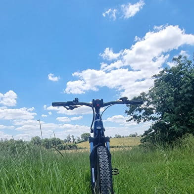 Circuit VTTAE n°10 - Lé prô, lé beû de Foissiat-Etrez (prés et bois)