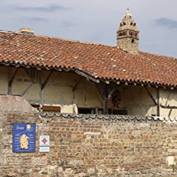 Chemin des Carrons - ROMENAY