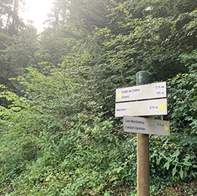 Randonnée - Le sentier du Macretet