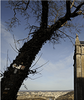 Sentier des Buis - MORRE