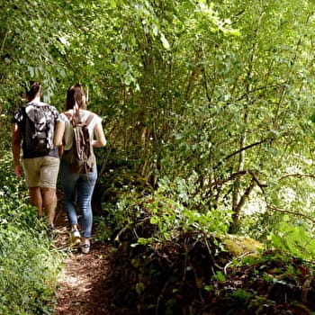 Sentier du Bois charmant - TELLECEY