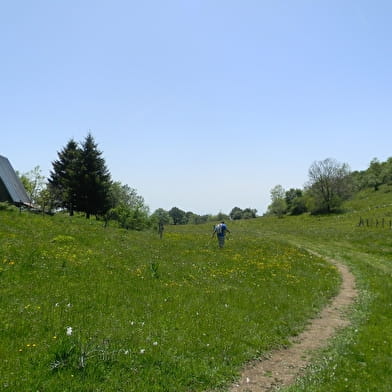 Randonnée pédestre : Le circuit des Scioux