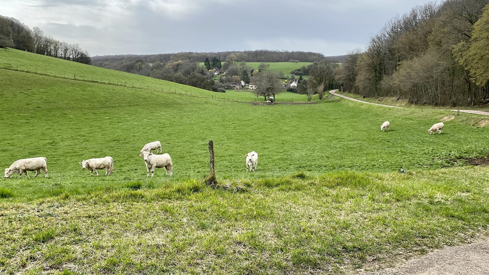 En forêt autour de Cessy-les-Bois