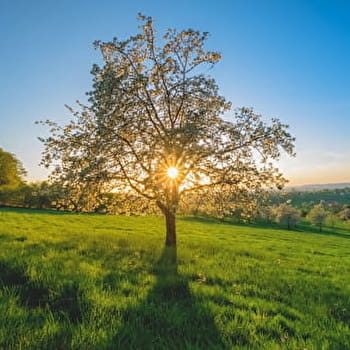 Des Monts Durand aux Pierres-de-Roûge - FOUGEROLLES-SAINT-VALBERT