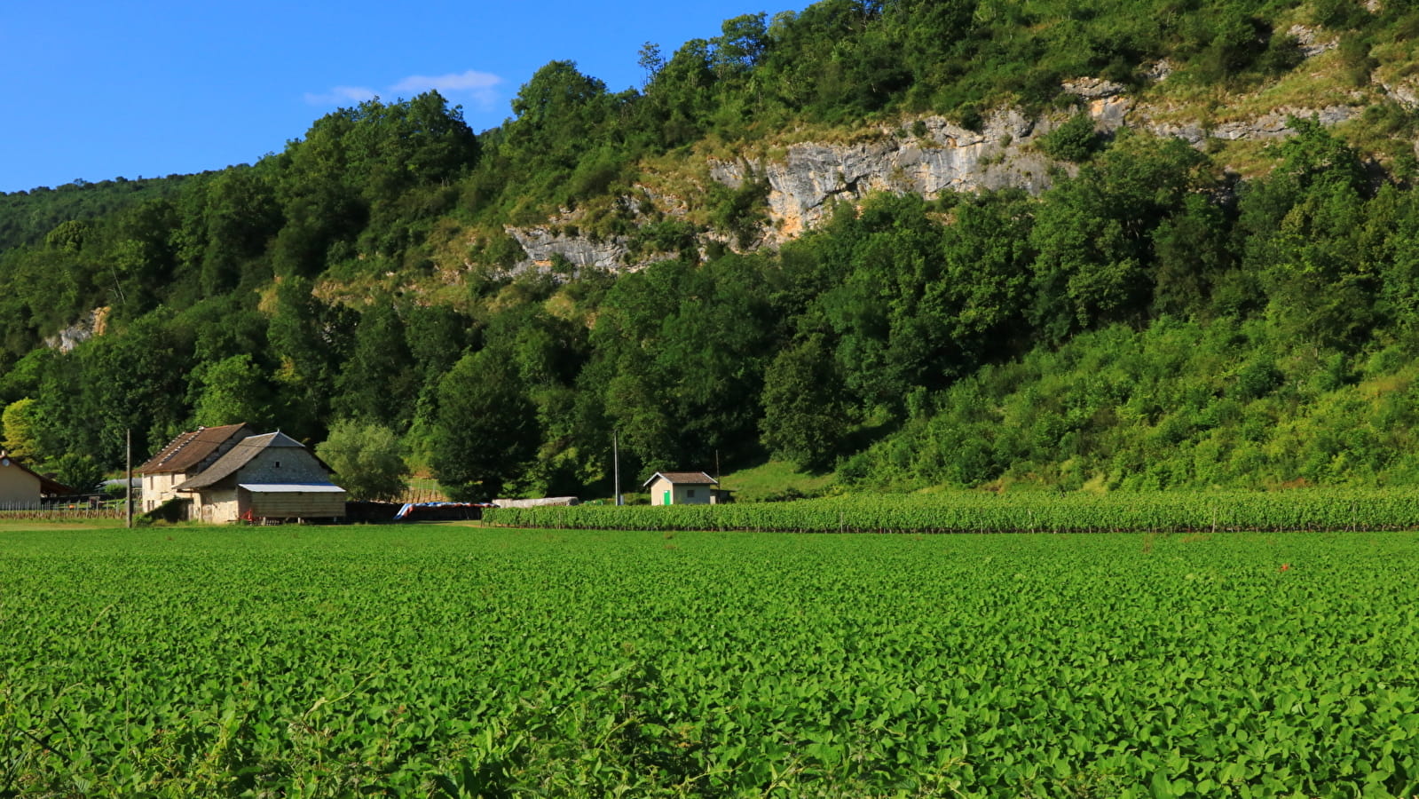 Circuit de randonnée pédestre : La Montagne de Saint-Benoit