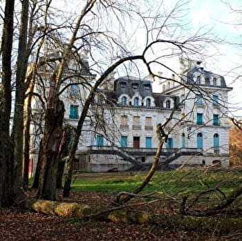 Promenade à Sainpuits dans les vallons de Forterre vers la voie romaine - SAINPUITS