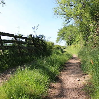 Au fil de l'Arconce - SAINT-DIDIER-EN-BRIONNAIS