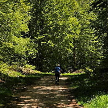 Circuit de randonnée le Tour de Retord - HAUT VALROMEY
