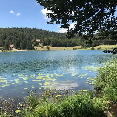 Circuit vélo - De Oyonnax au Lac Genin