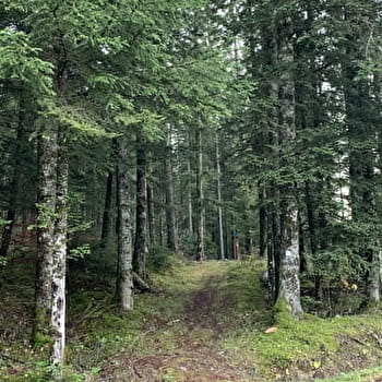 Randonnée - Les crêtes de la Clye - PLATEAU D'HAUTEVILLE