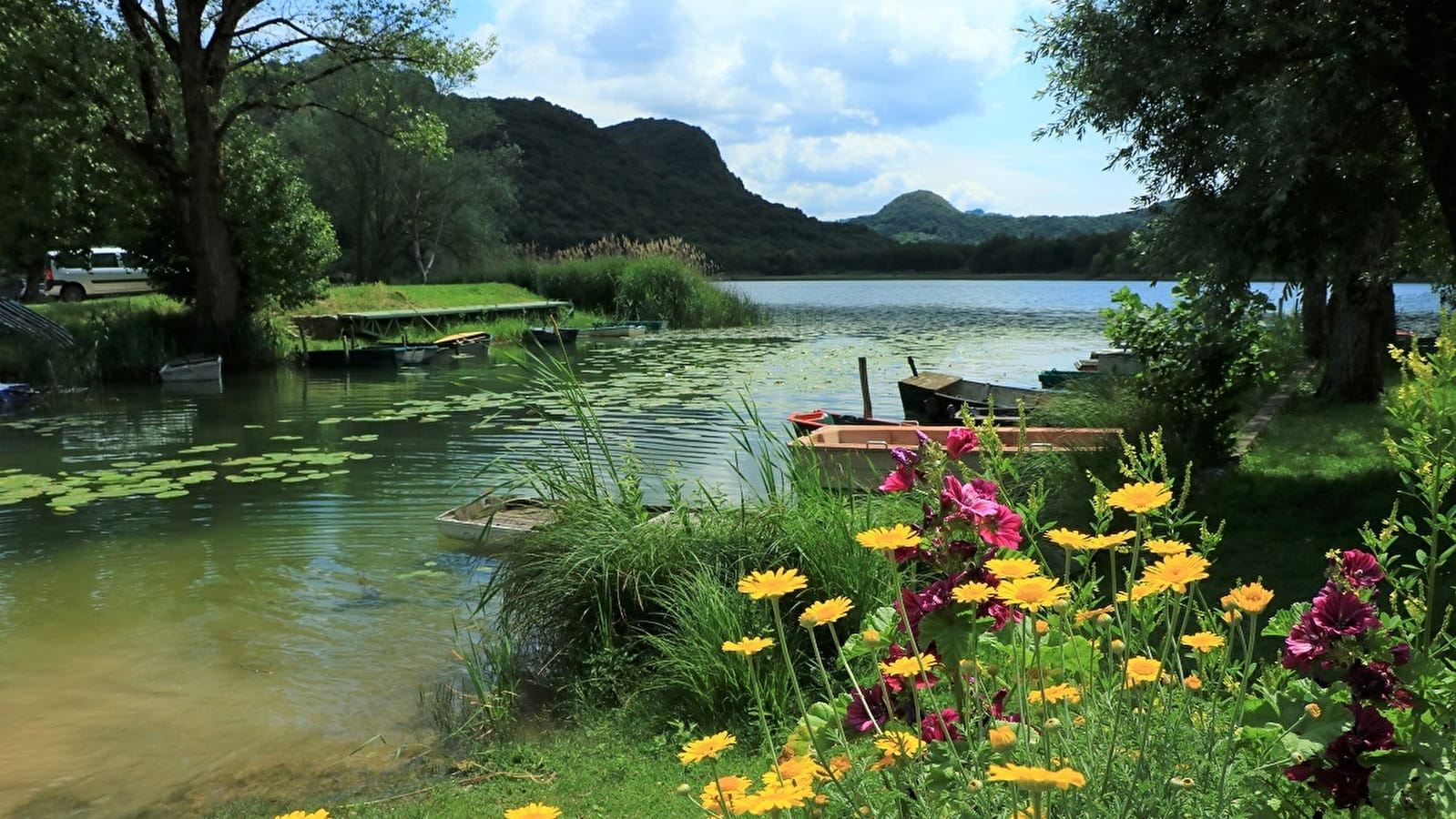 Circuit de randonnée pédestre : Lac et vignobles