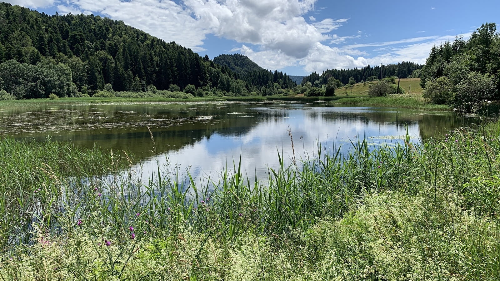 Randonnée - La ronde des étangs Marron