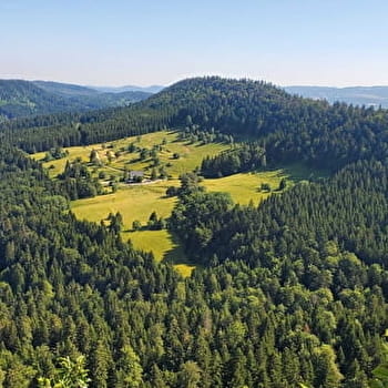 Randonnée - Planachat et la ferme Guichard - PLATEAU D'HAUTEVILLE