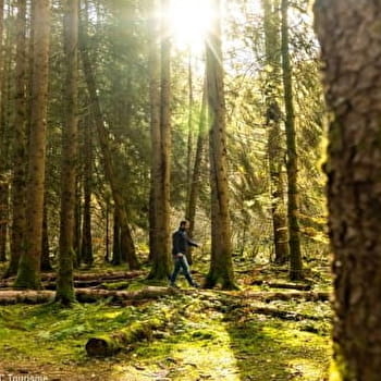 Circuit de randonnée : Boucle des trois bornes - ARLEUF